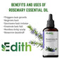 Rosemary Essential Oil for Hair Growth, Hair Fall Control and Nourishment, Skin Care (100 ml)