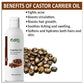 Castor Oil For Hair-Skin And Body Massage (100 ml)